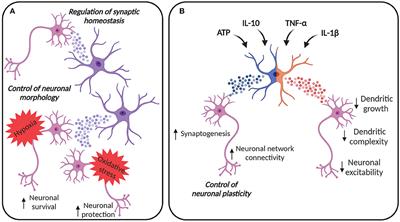 Glia-Derived Extracellular Vesicles: Role in Central Nervous System Communication in Health and Disease